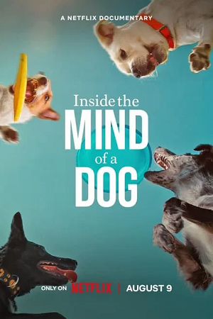  Inside The Mind Of A Dog (2024) WEB-DL Dual Audio {Hindi-English} 480p [250MB] | 720p [690MB] | 1080p [1.6GB]