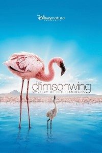  The Crimson Wing (2008) Dual Audio {Hindi-English} 480p [300MB] | 720p [800MB]