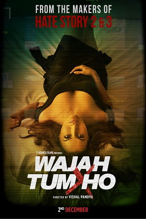  Wajah Tum Ho (2016) Hindi Full Movie 480p [350MB] | 720p [1.2GB] | 1080p [4GB]